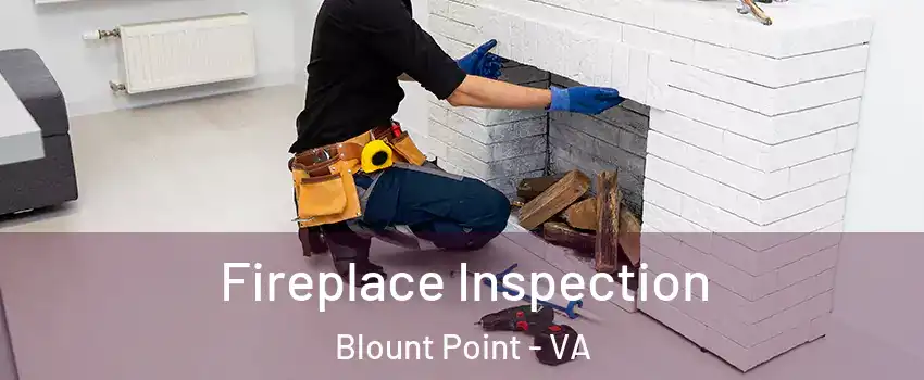 Fireplace Inspection Blount Point - VA