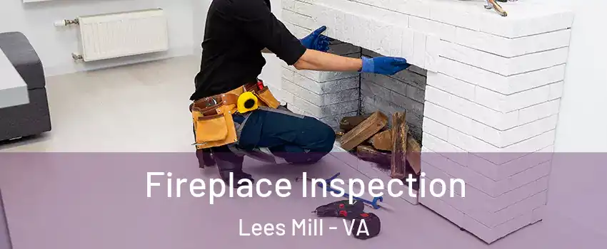 Fireplace Inspection Lees Mill - VA