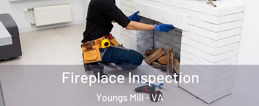 Fireplace Inspection Youngs Mill - VA