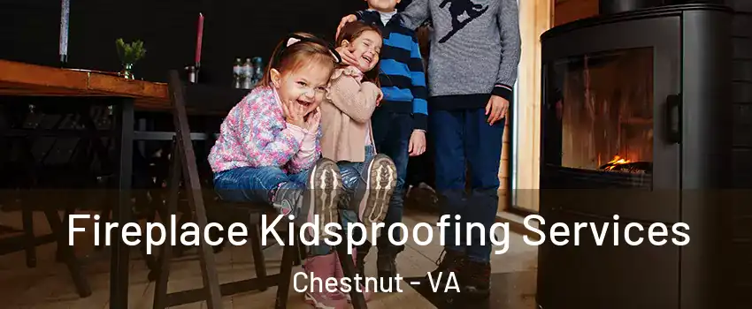 Fireplace Kidsproofing Services Chestnut - VA