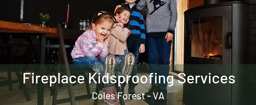 Fireplace Kidsproofing Services Coles Forest - VA