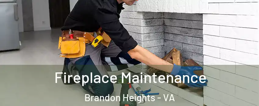 Fireplace Maintenance Brandon Heights - VA