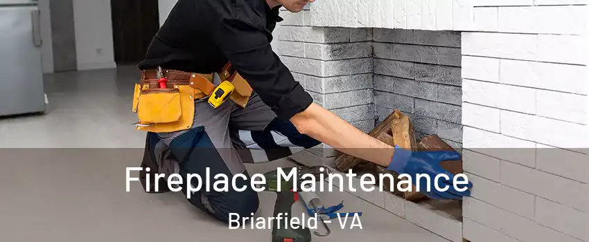 Fireplace Maintenance Briarfield - VA