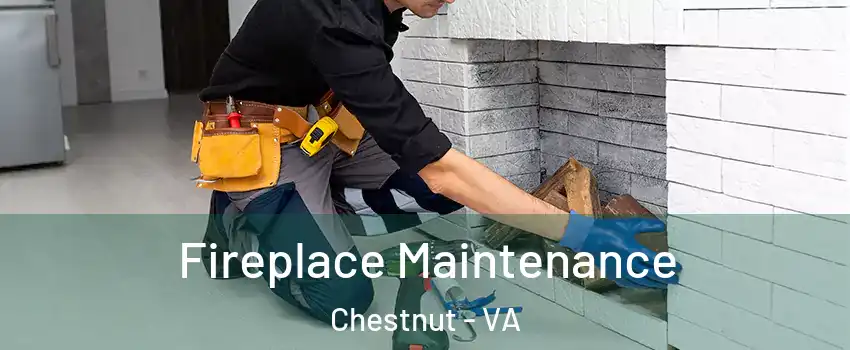 Fireplace Maintenance Chestnut - VA