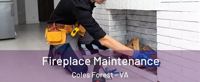 Fireplace Maintenance Coles Forest - VA