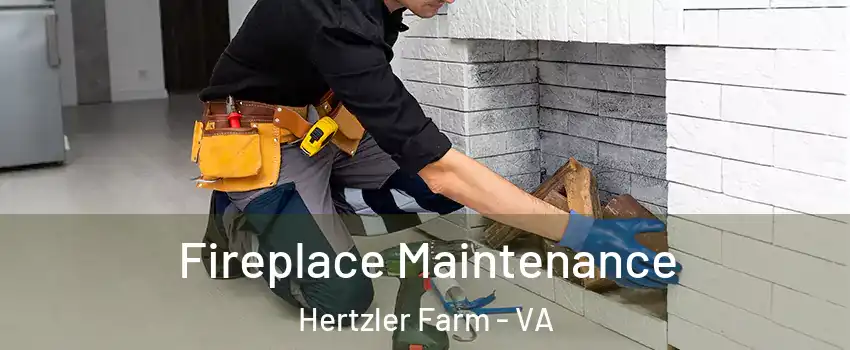 Fireplace Maintenance Hertzler Farm - VA