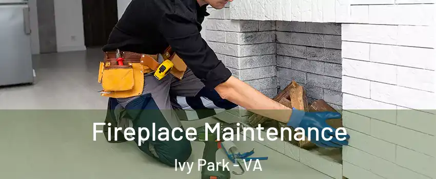 Fireplace Maintenance Ivy Park - VA