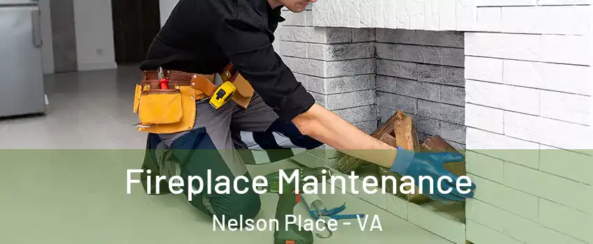 Fireplace Maintenance Nelson Place - VA