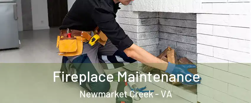 Fireplace Maintenance Newmarket Creek - VA