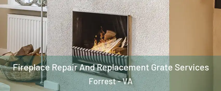 Fireplace Repair And Replacement Grate Services Forrest - VA