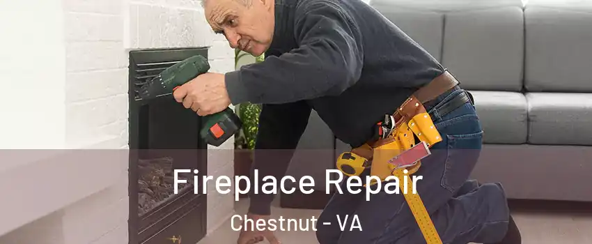 Fireplace Repair Chestnut - VA