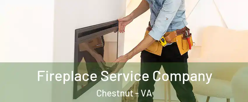 Fireplace Service Company Chestnut - VA