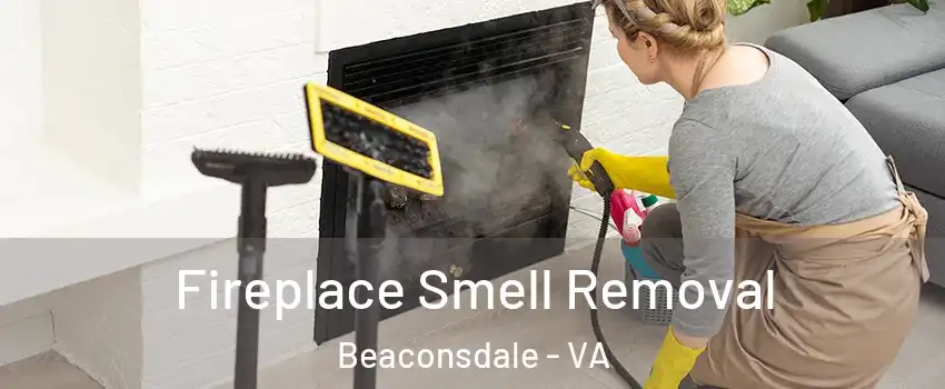 Fireplace Smell Removal Beaconsdale - VA