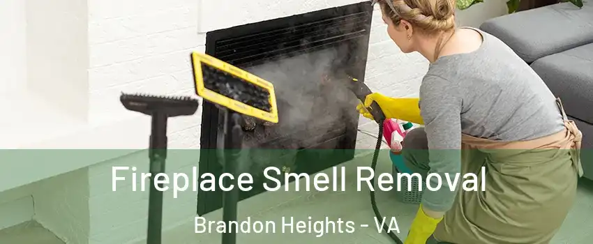 Fireplace Smell Removal Brandon Heights - VA