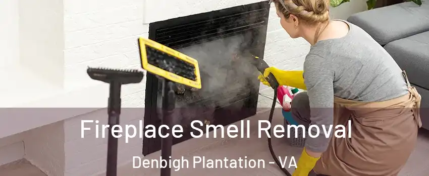 Fireplace Smell Removal Denbigh Plantation - VA