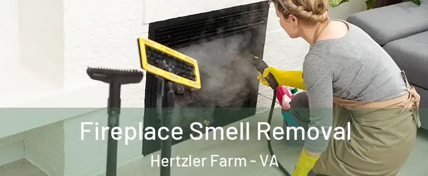 Fireplace Smell Removal Hertzler Farm - VA