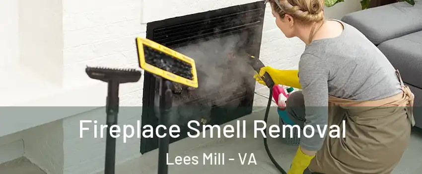 Fireplace Smell Removal Lees Mill - VA