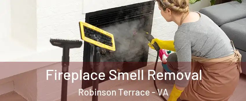 Fireplace Smell Removal Robinson Terrace - VA