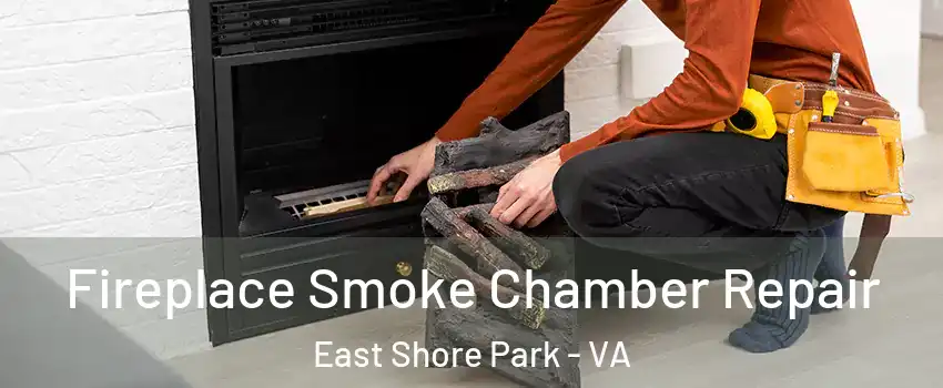 Fireplace Smoke Chamber Repair East Shore Park - VA