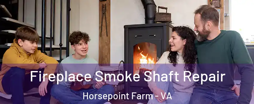 Fireplace Smoke Shaft Repair Horsepoint Farm - VA