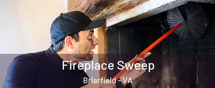 Fireplace Sweep Briarfield - VA