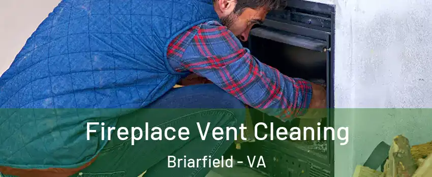 Fireplace Vent Cleaning Briarfield - VA