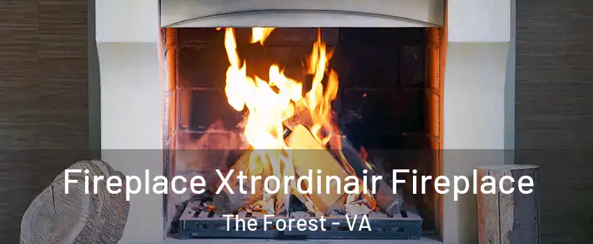 Fireplace Xtrordinair Fireplace The Forest - VA