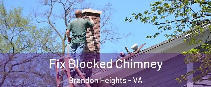 Fix Blocked Chimney Brandon Heights - VA