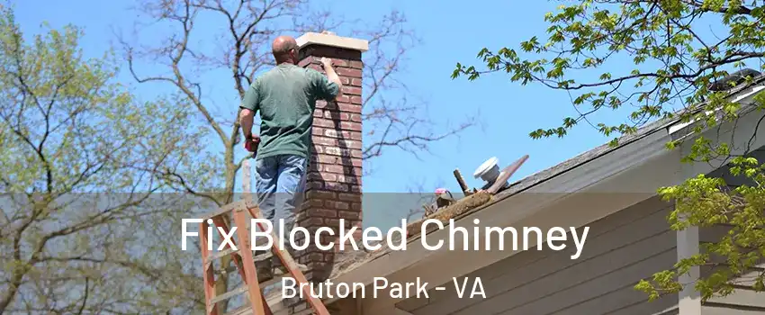 Fix Blocked Chimney Bruton Park - VA