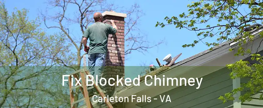 Fix Blocked Chimney Carleton Falls - VA