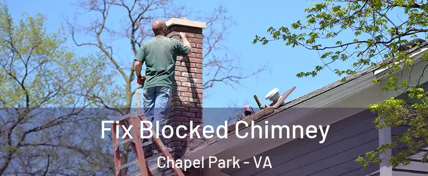 Fix Blocked Chimney Chapel Park - VA