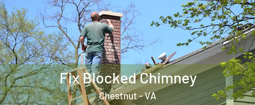 Fix Blocked Chimney Chestnut - VA