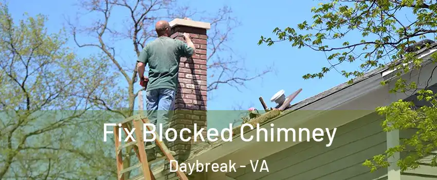 Fix Blocked Chimney Daybreak - VA