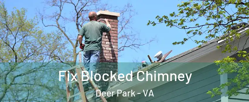 Fix Blocked Chimney Deer Park - VA