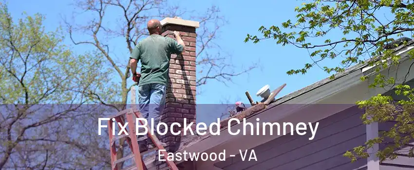 Fix Blocked Chimney Eastwood - VA