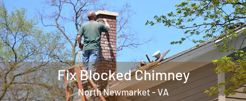 Fix Blocked Chimney North Newmarket - VA