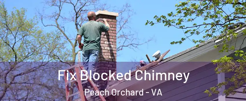 Fix Blocked Chimney Peach Orchard - VA