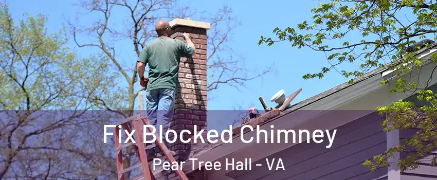 Fix Blocked Chimney Pear Tree Hall - VA