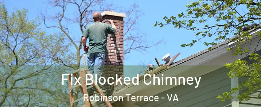 Fix Blocked Chimney Robinson Terrace - VA