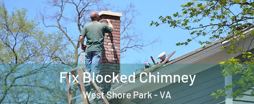 Fix Blocked Chimney West Shore Park - VA