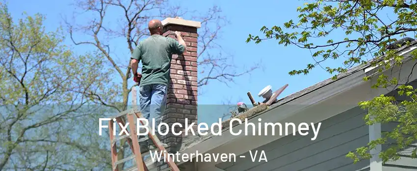 Fix Blocked Chimney Winterhaven - VA