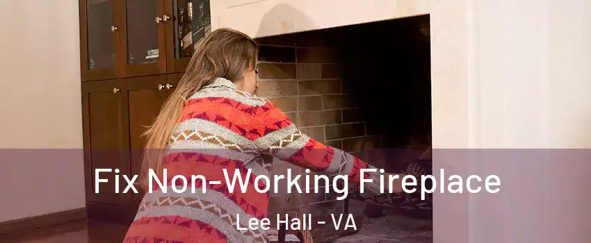 Fix Non-Working Fireplace Lee Hall - VA