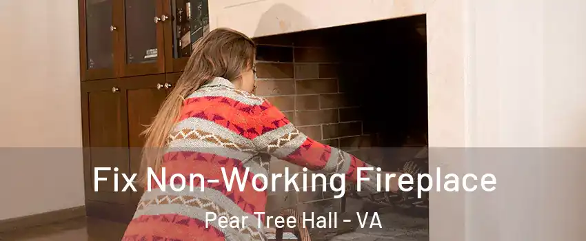 Fix Non-Working Fireplace Pear Tree Hall - VA