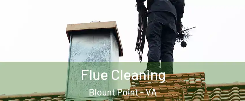 Flue Cleaning Blount Point - VA