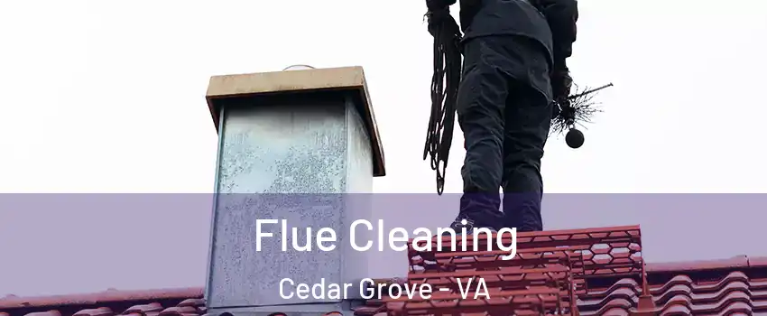 Flue Cleaning Cedar Grove - VA