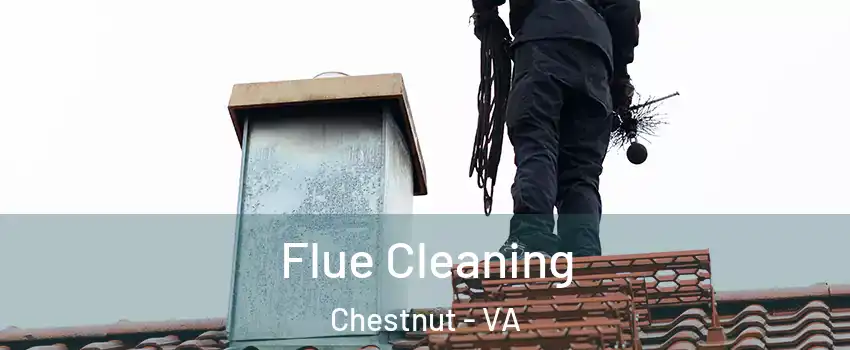 Flue Cleaning Chestnut - VA