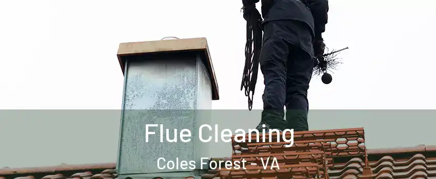 Flue Cleaning Coles Forest - VA