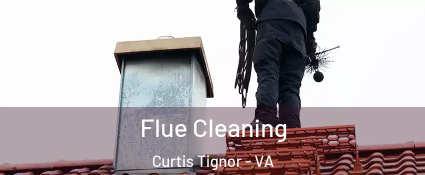 Flue Cleaning Curtis Tignor - VA