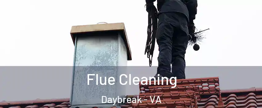 Flue Cleaning Daybreak - VA