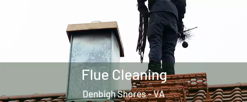 Flue Cleaning Denbigh Shores - VA